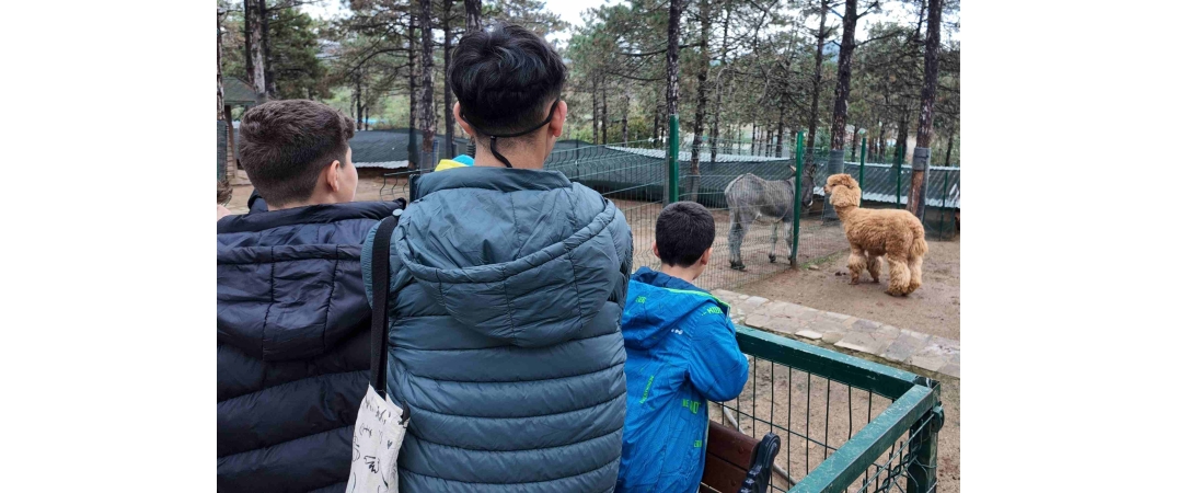 Genç PESİAD olarak geleneksel hale getirdiğimiz sosyal sorumluluk etkinliğimiz kapsamında; Çocuk Esirgeme Kurumu’ndaki çocuklarımızla bir araya geldik.