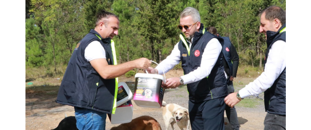 “4 Ekim Hayvanları Koruma Günü”ne özel etkinlik gerçekleştirildi.
