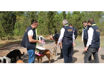 “4 Ekim Hayvanları Koruma Günü”ne özel etkinlik gerçekleştirildi.