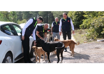 “4 Ekim Hayvanları Koruma Günü”ne özel etkinlik gerçekleştirildi.