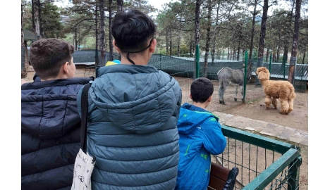 Genç PESİAD olarak geleneksel hale getirdiğimiz sosyal sorumluluk etkinliğimiz kapsamında; Çocuk Esirgeme Kurumu’ndaki çocuklarımızla bir araya geldik.