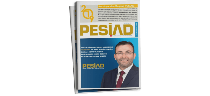 Sayı 11