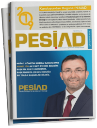 Sayı 11