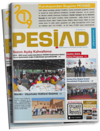 Sayı 13