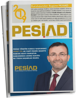 Sayı 11