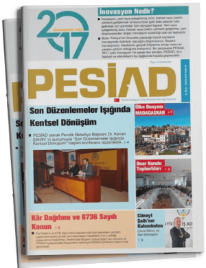 Sayı 2