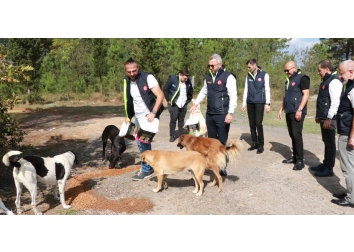 “4 Ekim Hayvanları Koruma Günü”ne özel etkinlik gerçekleştirildi.